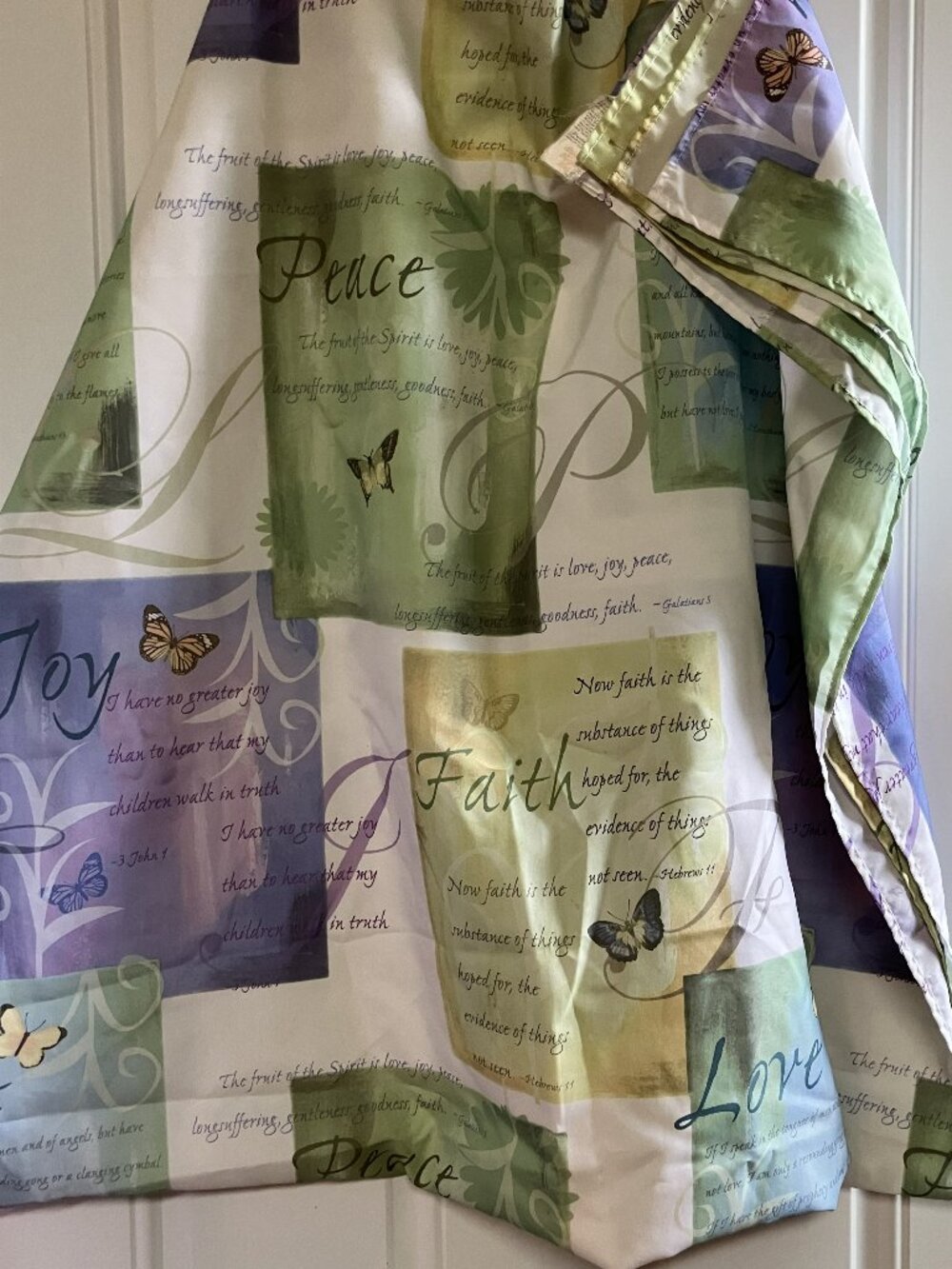 Shower Curtain and Hooks